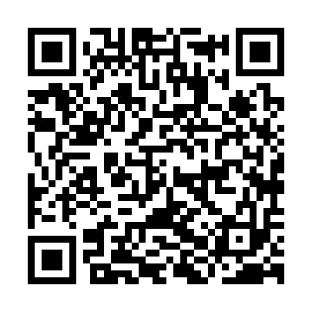 QR code for IHX313