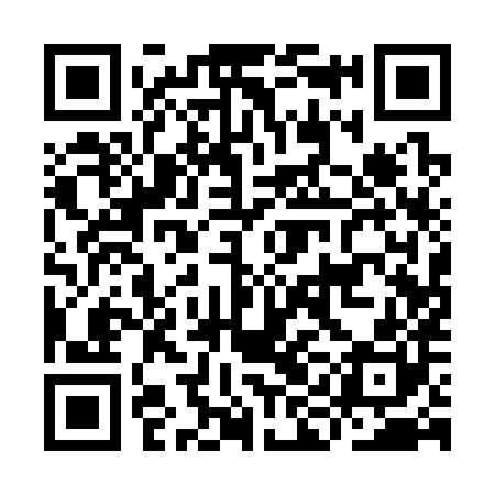 QR code for IIA380