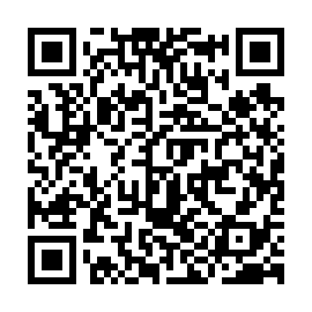QR code for IIA638