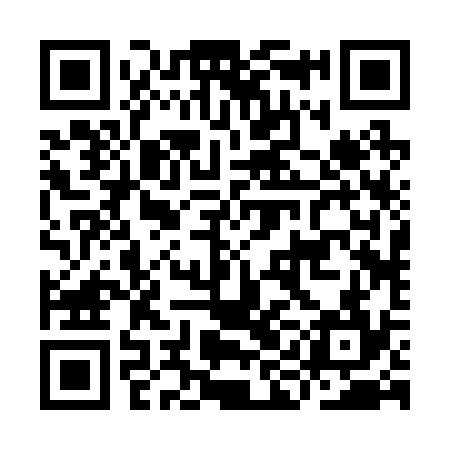 QR code for IIB234