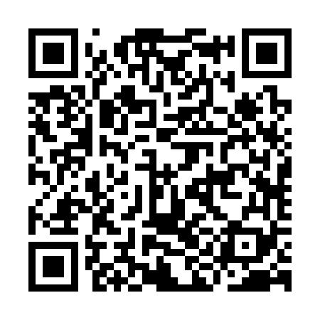 QR code for IIB369
