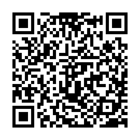 QR code for IIB389