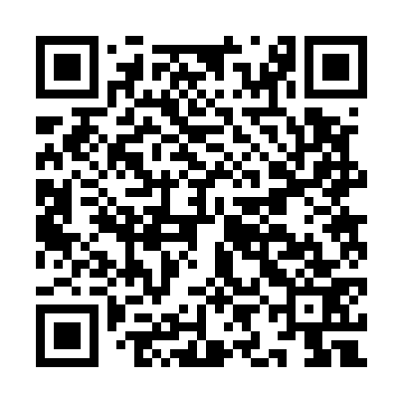 QR code for IIB573