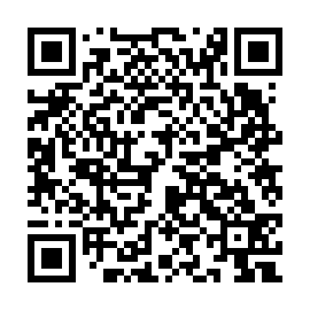 QR code for IIB633
