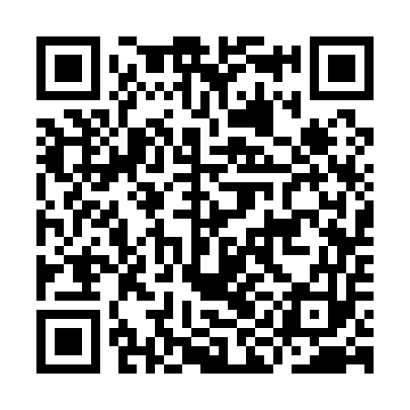 QR code for IIC153