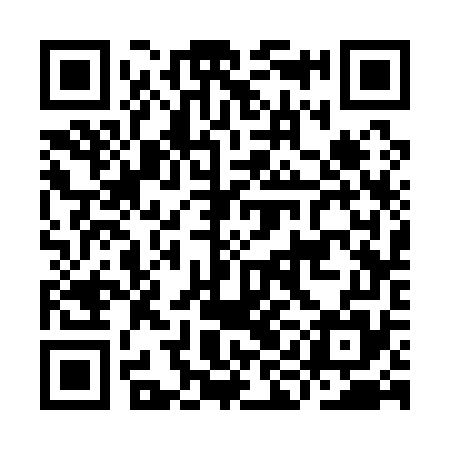 QR code for IIC175