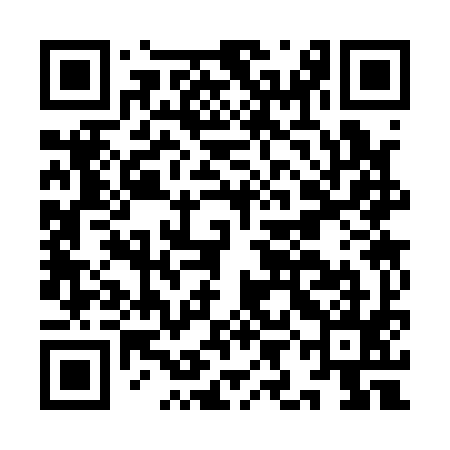 QR code for IIC195