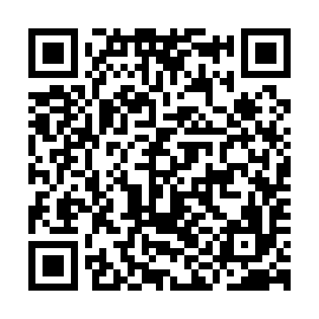 QR code for IIC196