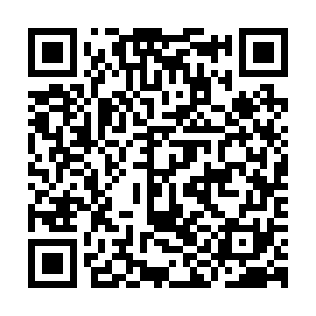 QR code for IIC271
