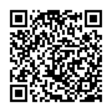 QR code for IIC307