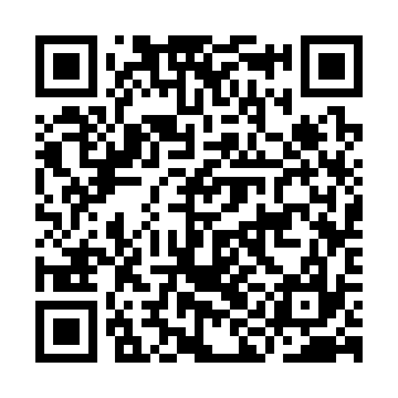QR code for IIC337