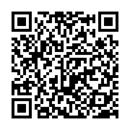 QR code for IIC379