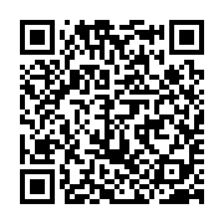 QR code for IIC399