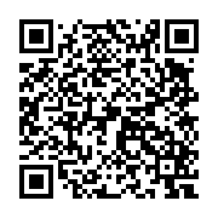 QR code for IIC445