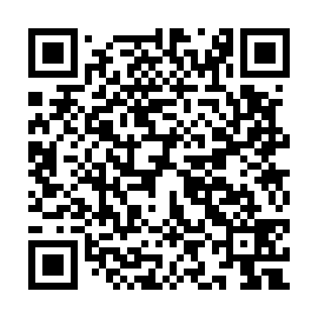 QR code for IIC539