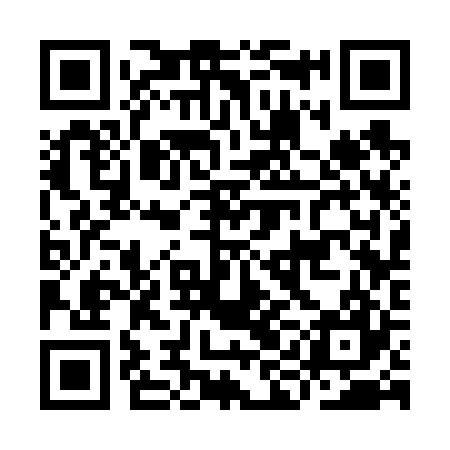 QR code for IIC627