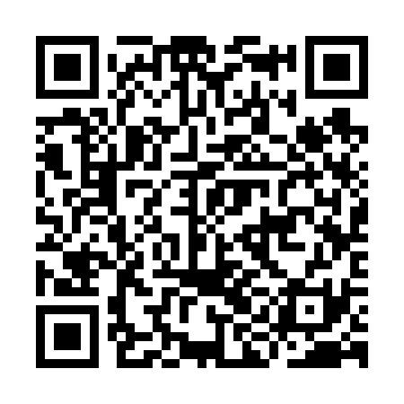 QR code for IIC631