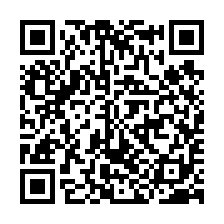 QR code for IIC691