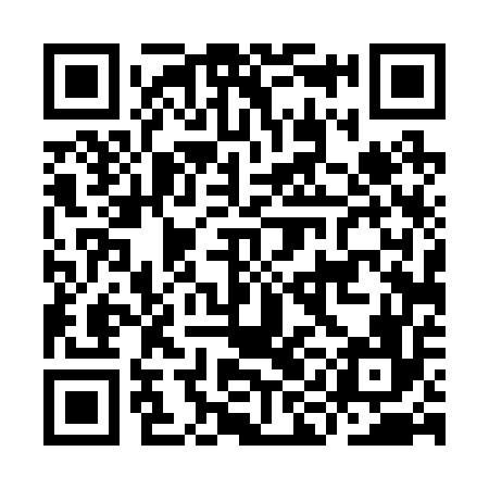 QR code for IID256