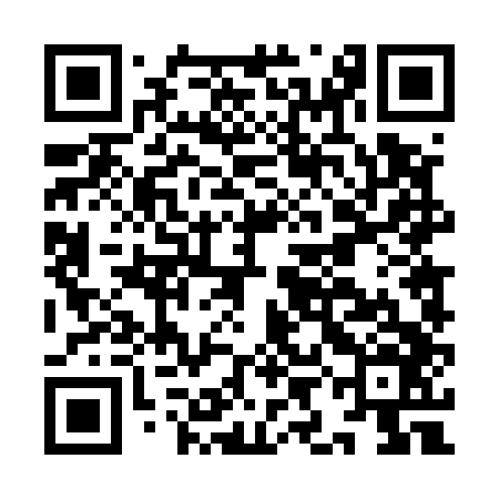QR code for IID546