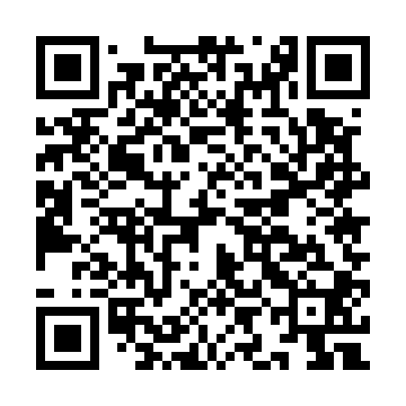 QR code for IIE500
