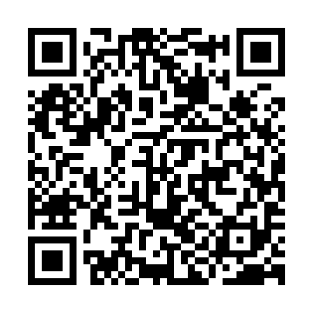 QR code for IIE991