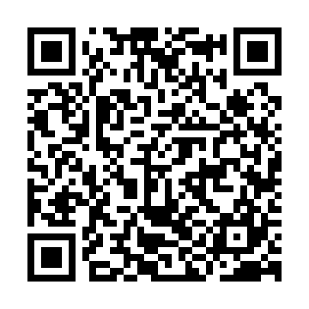 QR code for IIF127