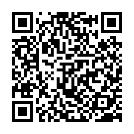 QR code for IIF208