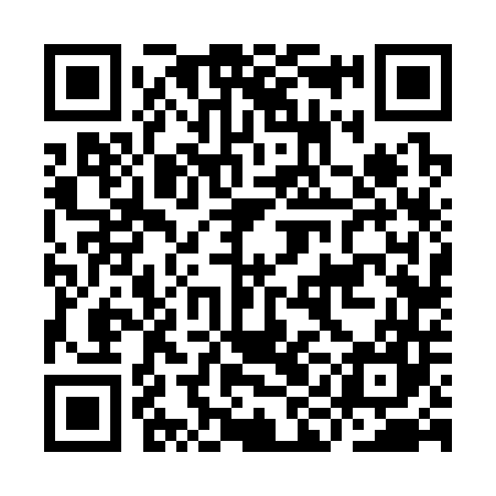 QR code for IIF347