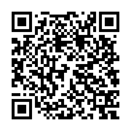 QR code for IIF534