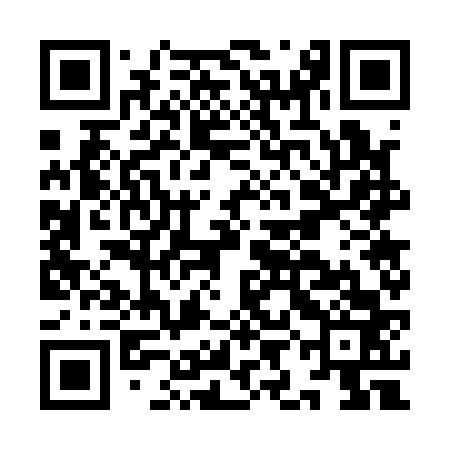 QR code for IIG163