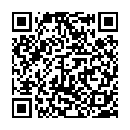 QR code for IIG271