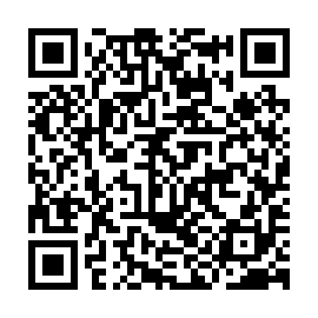 QR code for IIG290