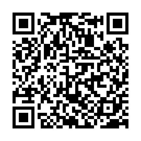 QR code for IIG301