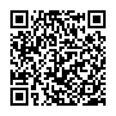 QR code for IIG320