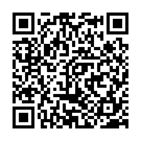 QR code for IIG334