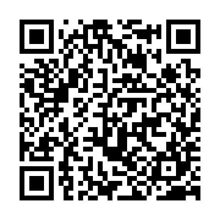 QR code for IIG384