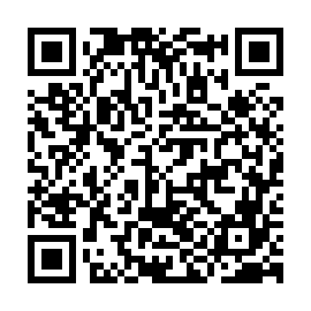 QR code for IIG866