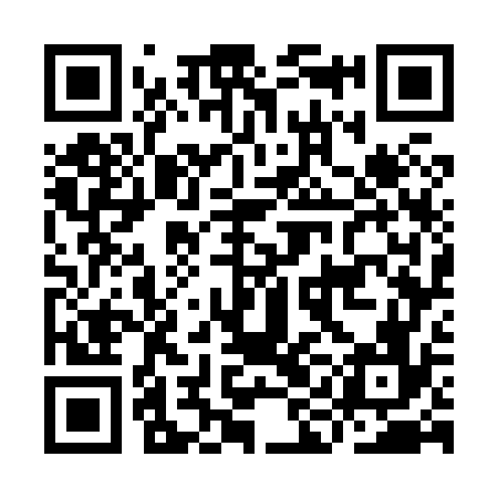 QR code for IIG876