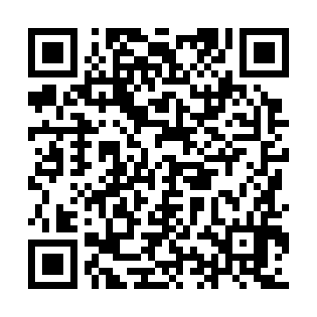 QR code for IIH394