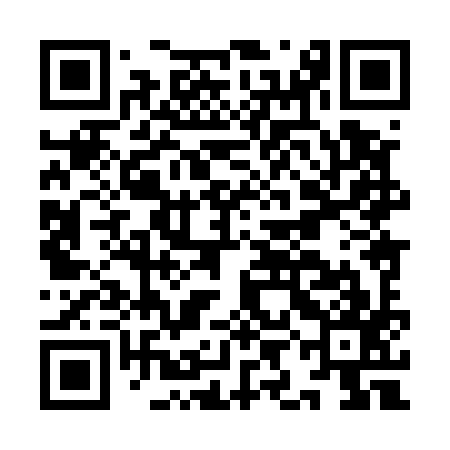 QR code for IIH597