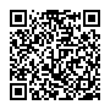 QR code for III333