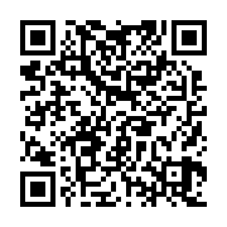 QR code for IIJ229