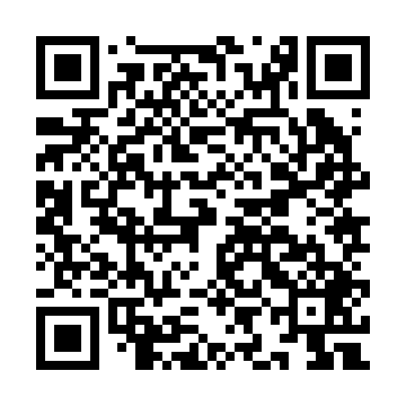 QR code for IIJ249
