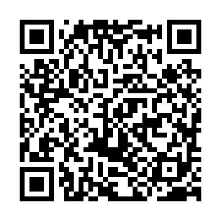 QR code for IIJ291