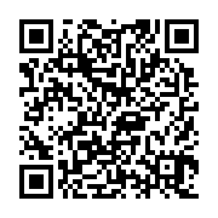 QR code for IIJ305