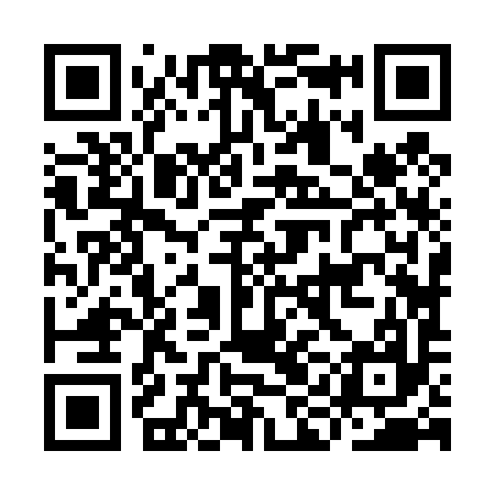QR code for IIJ497