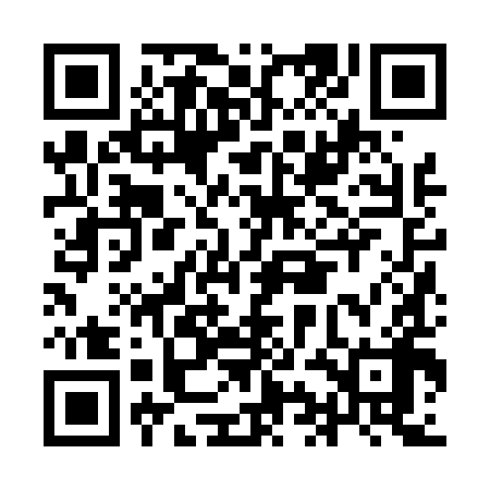 QR code for IIJ498