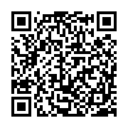QR code for IIJ597