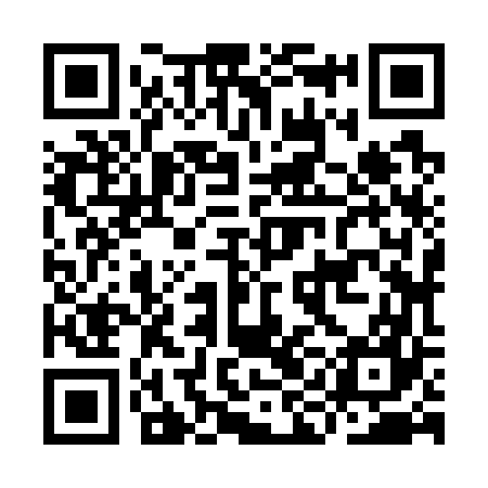 QR code for IIJ767